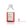 Show details for DMEM High Glucose (4.5 g/l), with L-Glutamine - 500 ml Picture of DMEM High Glucose (4.5 g/l), with L-Glutamine - 500 ml