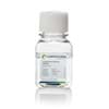 Show details for L-Glutamine (200 mM) - 100 ml Picture of L-Glutamine (200 mM) - 100 ml