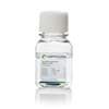 Show details for Penicillin/Streptomycin (100x) - 100 ml Picture of Penicillin/Streptomycin (100x) - 100 ml