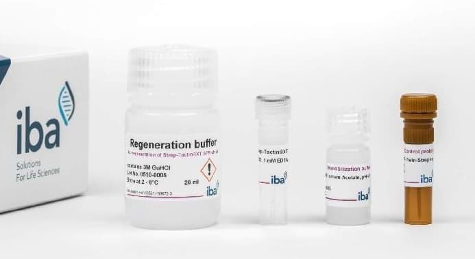 Protein purification strep tactin  Protein purification strep tactin