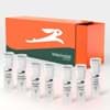 Show details for cDNA Synthesis Kit (125 reactions of 20 µl) Picture of cDNA Synthesis Kit (125 reactions of 20 µl)