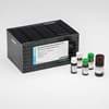 Show details for MycoAlert Mycoplasma Detection Kit - 10 tests Picture of MycoAlert Mycoplasma Detection Kit - 10 tests