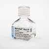 Show details for MycoZap Plus-CL - 1 x 20 ml Picture of MycoZap Plus-CL - 1 x 20 ml