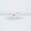 Show details for innuPREP DNase I Digest kit - 250 reactions Picture of innuPREP DNase I Digest kit - 250 reactions