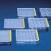 Tissue culture test plate 12 wells  TPP tissue culture test plate 12 wells 92412