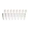 Show details for AmpliStar-II 8-Strip 0.2ml PCR Tubes, Attached Optical Flat Caps - 120 Picture of AmpliStar-II 8-Strip 0.2ml PCR Tubes, Attached Optical Flat Caps - 120