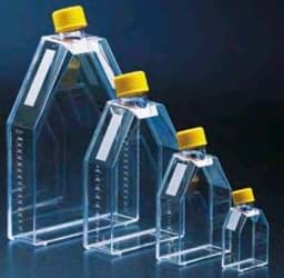 Show products in category Flasks Picture for category Flasks