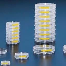 Show products in category Dishes Picture for category Dishes