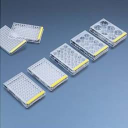 Show products in category Plates Picture for category Plates