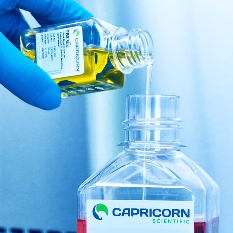 Pouring FBS from a mini 50 ml bottle to a larger bottle capricorn scientific