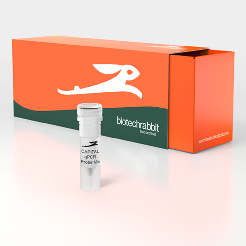 Picture of CAPITAL qPCR Probe Mix, 4× (200 rxn of 20 µl)