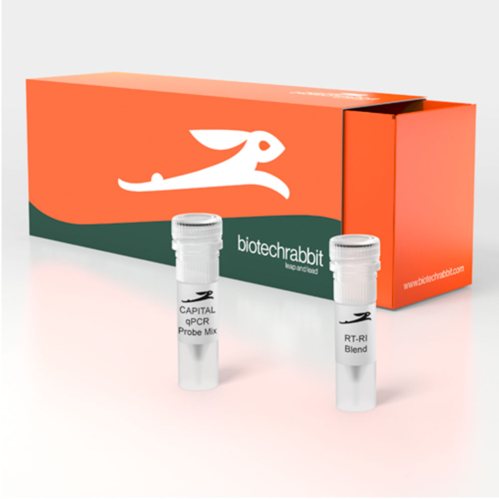 Picture of CAPITAL qRT-PCR Probe Mix, 4× (200 rxn of 20 µl)