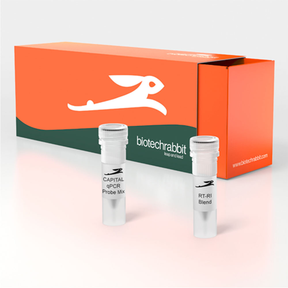 Picture of CAPITAL qRT-PCR Probe Mix, 4× (1000 rxn of 20 µl)