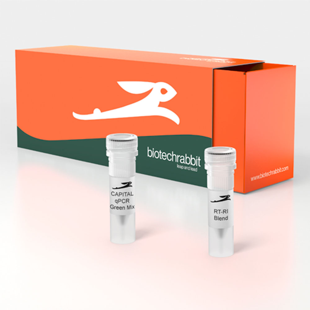 Picture of CAPITAL qRT-PCR Green Mix, 4× (200 rxn of 20 µl)