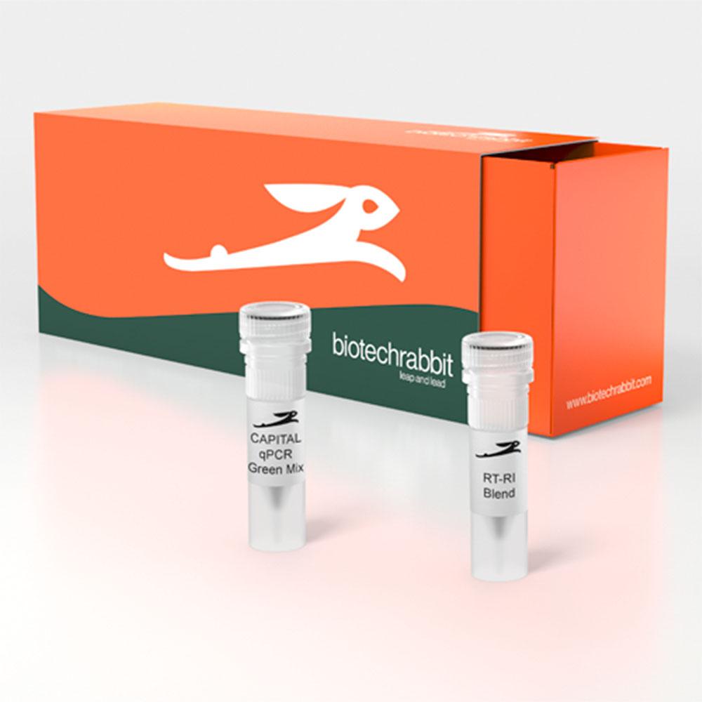 Picture of CAPITAL qRT-PCR Green Mix LRox, 4× (4000 rxn of 20 µl)