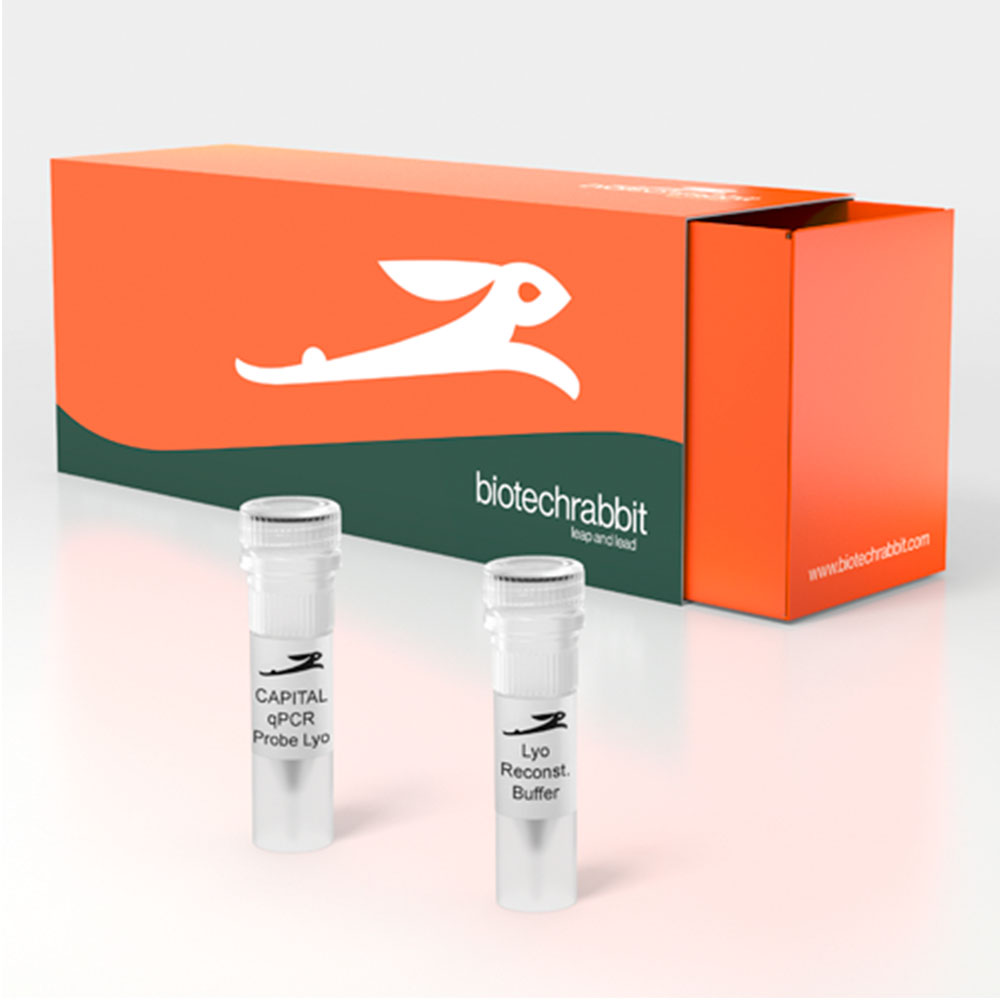 Picture of CAPITAL qPCR Probe Mix, lyophilized, 4× (200 rxn of 20 µl)