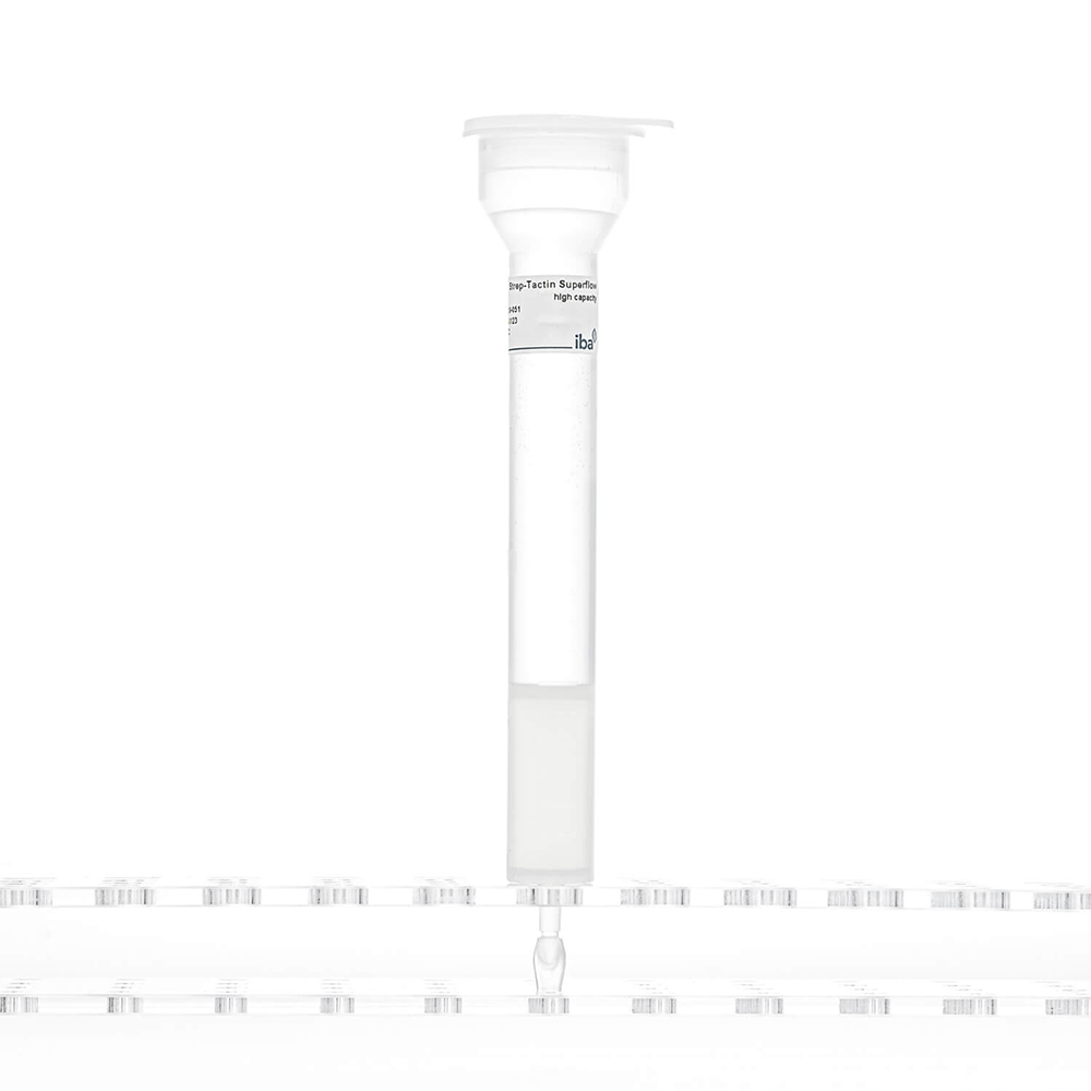 Picture of Strep-Tactin Superflow High Capacity column 1x5 ml