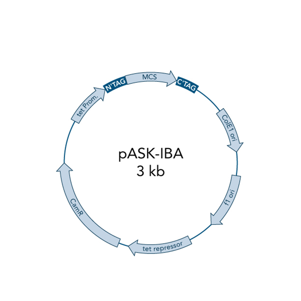 Picture of pASK-IBA2C 5 µg