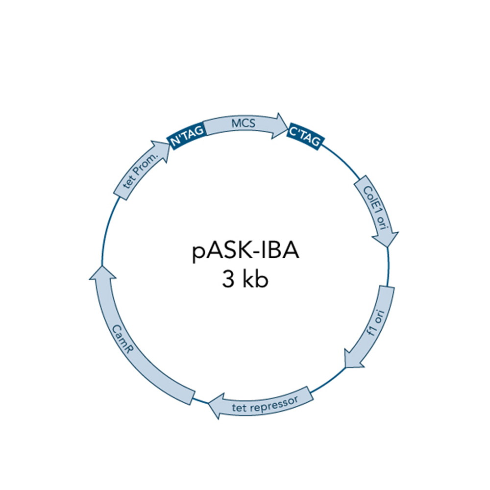 Picture of pASK-IBA3C 5 µg