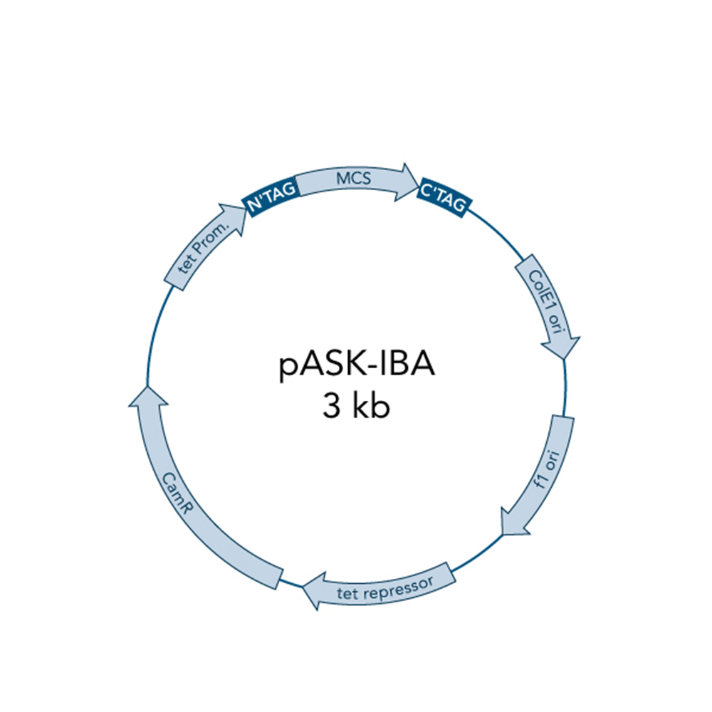 Picture of pASK-IBA4C 5 µg