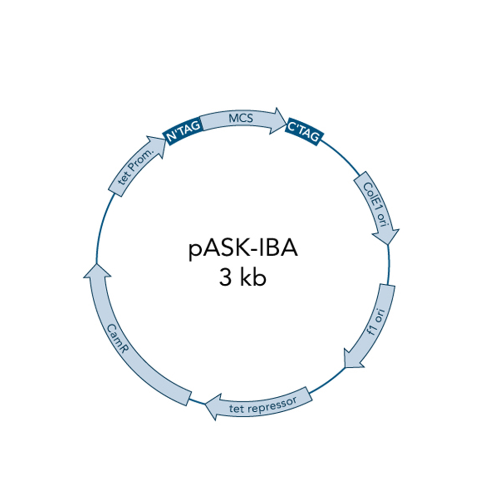 Picture of pASK-IBA5C 5 µg