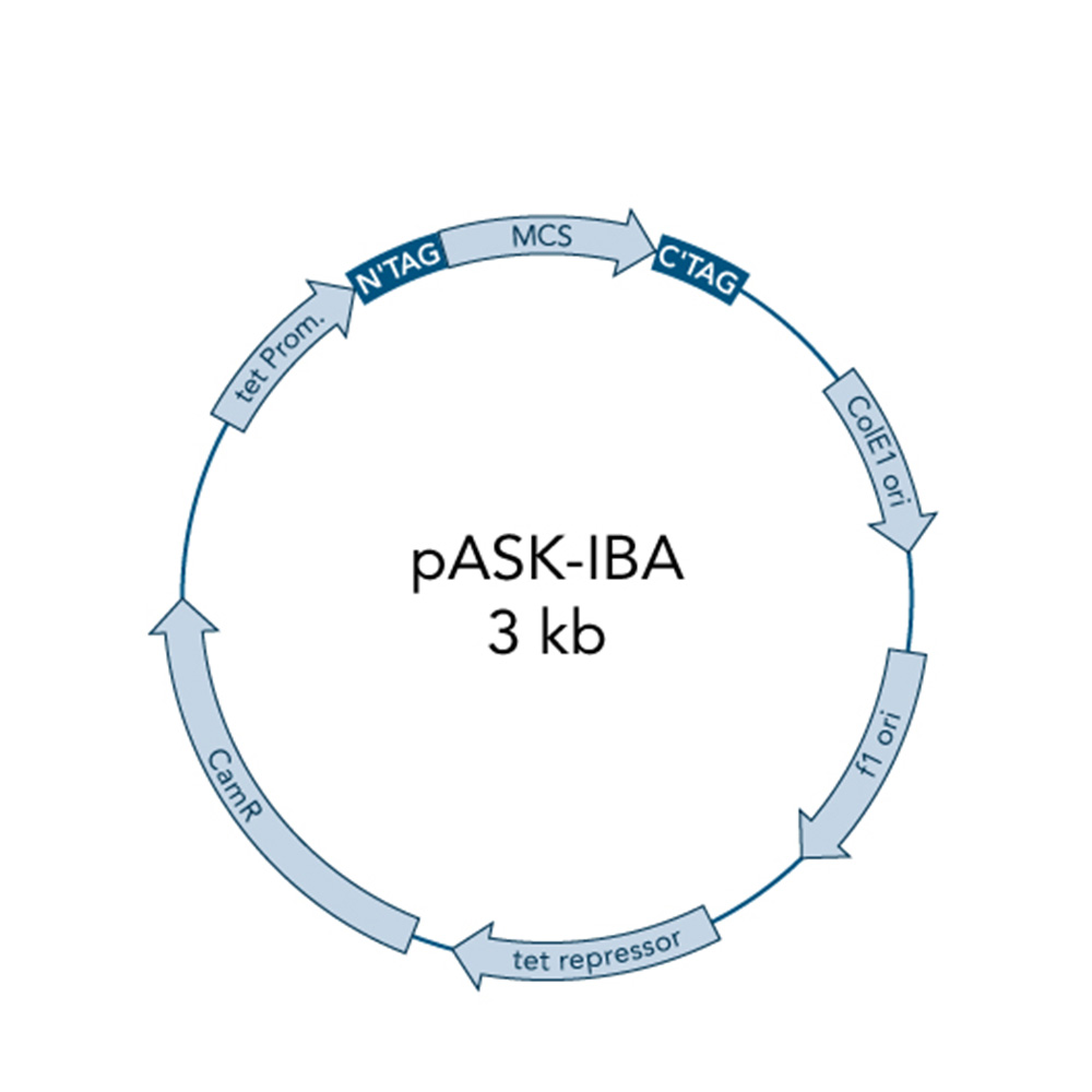 Picture of pASK-IBA6C 5 µg