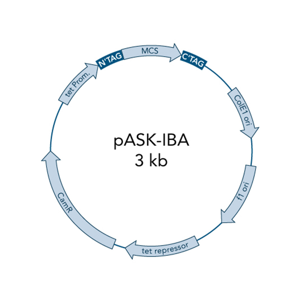 Picture of pASK-IBA7C 5 µg