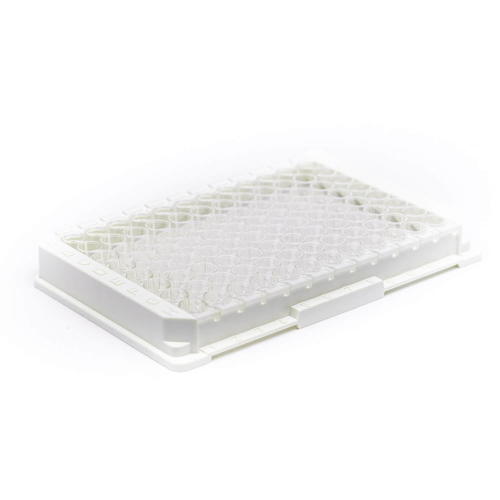 Picture of Strep-Tactin coated microplate 1 plate