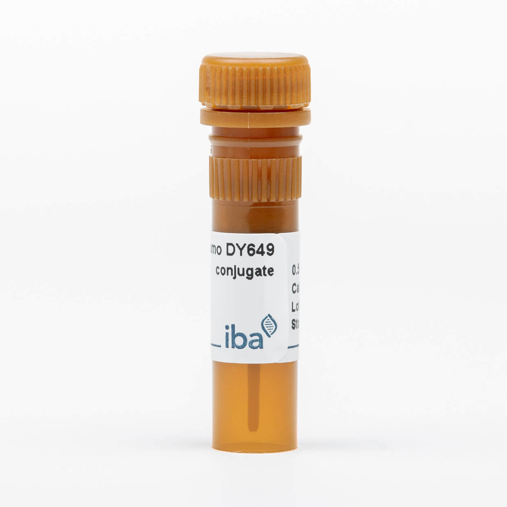 Picture of StrepMAB-Immo DY-649 conjugate (50 ug)