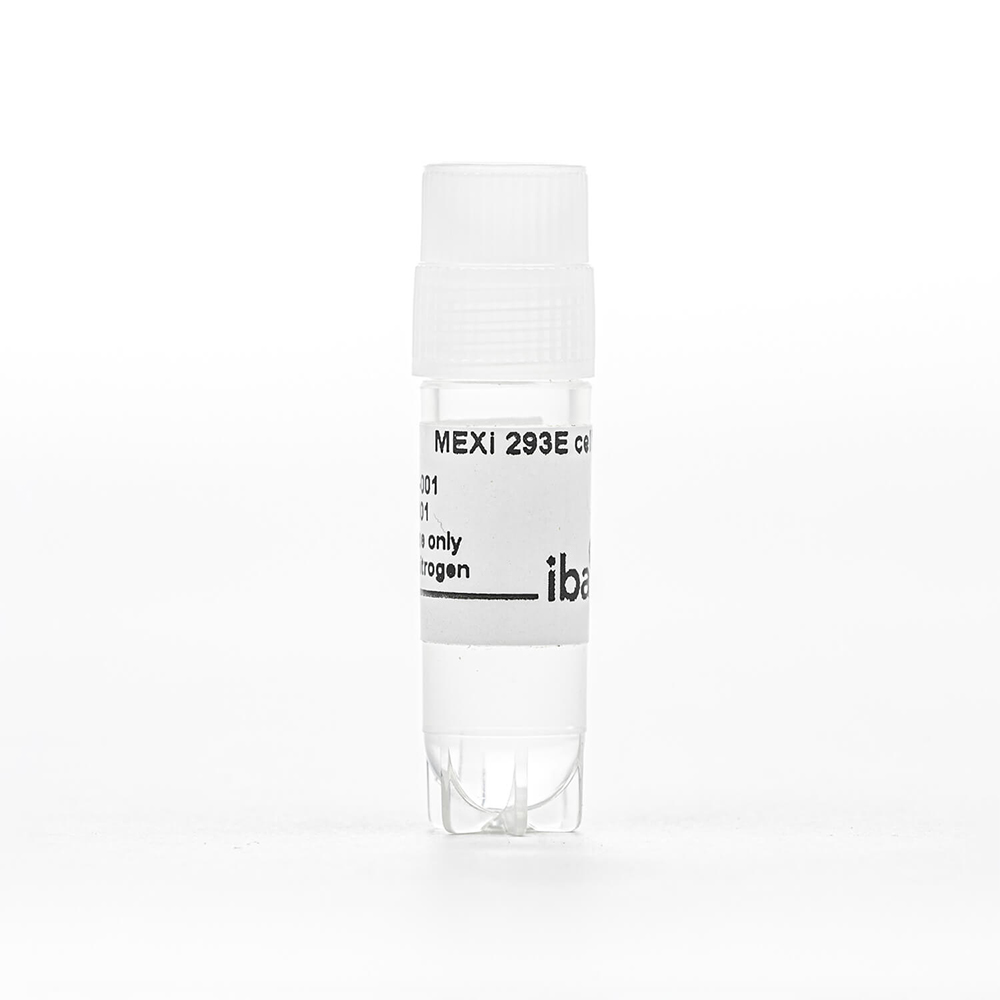 Picture of MEXi-293E cells 1.5mL