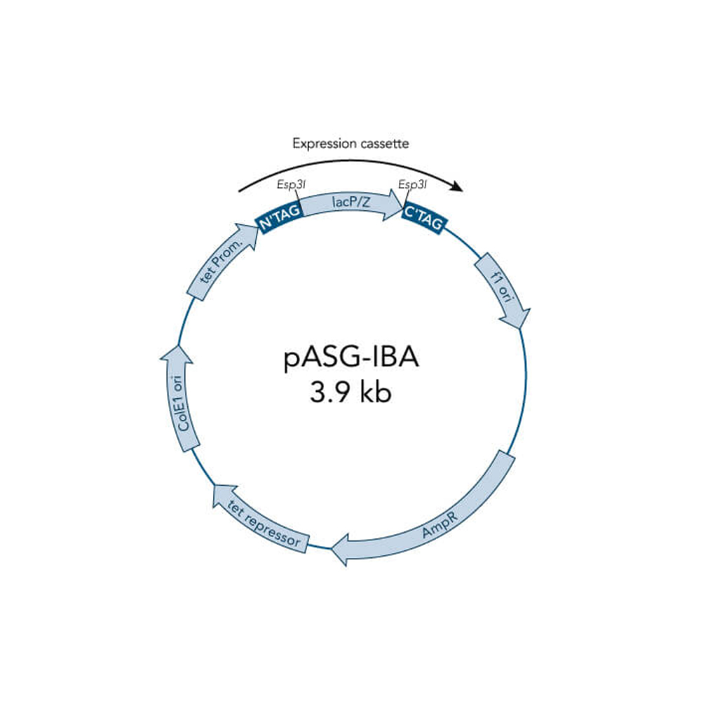 Picture of StarGate Acceptor Vector pASG-IBA2 (5 ug)