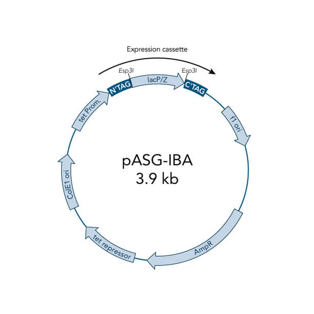 Picture of StarGate Acceptor Vector pASG-IBA3 (5 ug)
