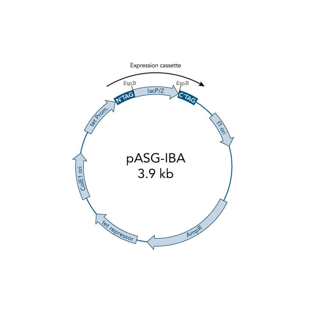 Picture of StarGate Acceptor Vector pASG-IBA123 (5 ug)