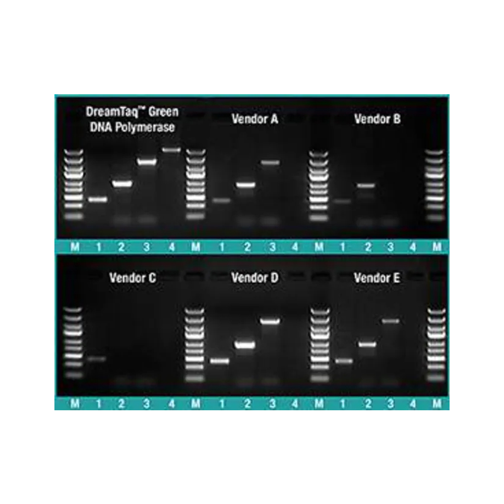 Picture of DreamTaq Green DNA Polymerase - 5 x 500 U