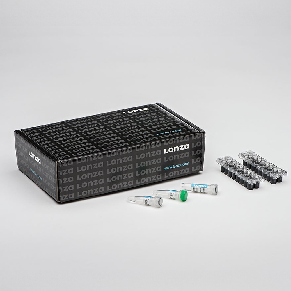 Picture of P3 Primary Cell 4D-Nucleofector Kit S (=strip) (32 RXN)