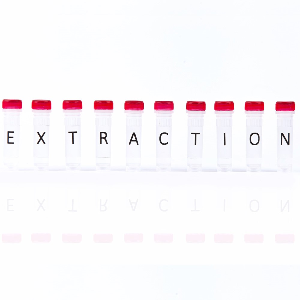 Picture of Carrier RNA (1x 50rxn)