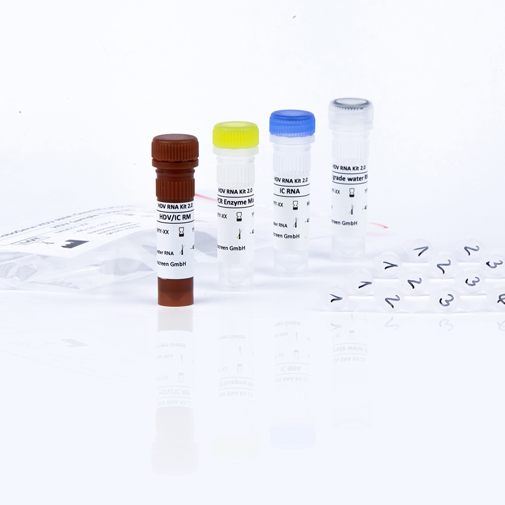 Picture of RoboGene HDV RNA Quantification Kit 2.0 for use with RG (CE) - 96 Rxns