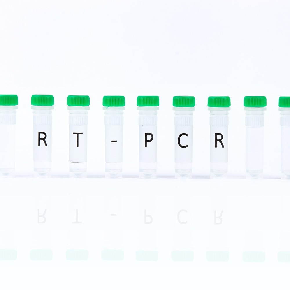 Picture of RoboGene HDV RNA Quantification Kit 2.0 for use with Low Profile Block (CE) - 96 Rxns