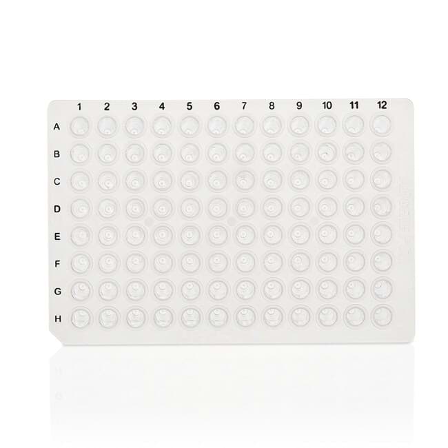 Picture of 96-well PCR plate non skirted black lettered (25)
