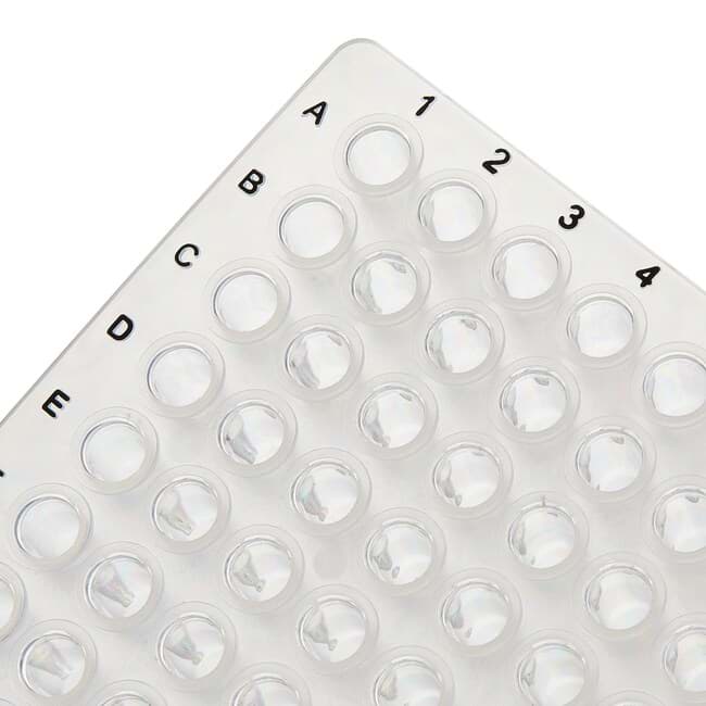 Picture of 96-well PCR plate non skirted black lettered (25)