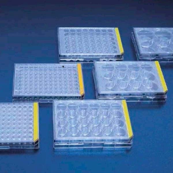 TPP tissue culture test plate 12 wells 92412
