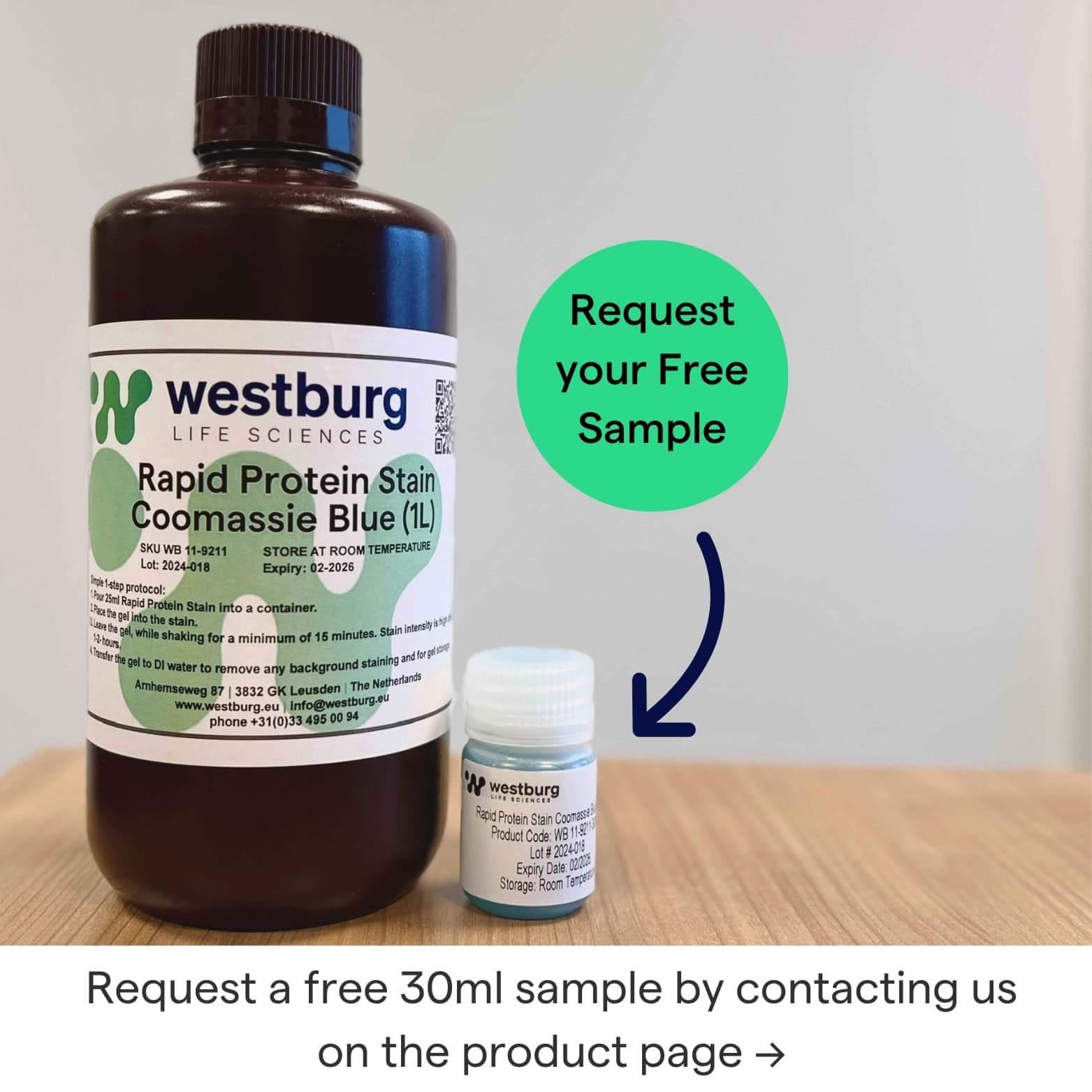 Picture of Rapid Protein Stain Coomassie Blue (1L)