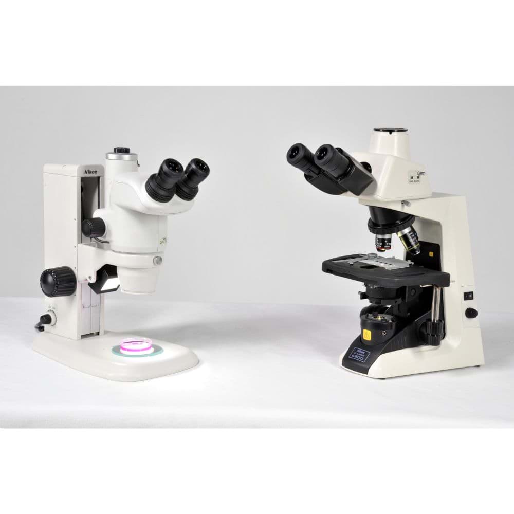 Picture of SMZ745T Zoom Stereo Microscope