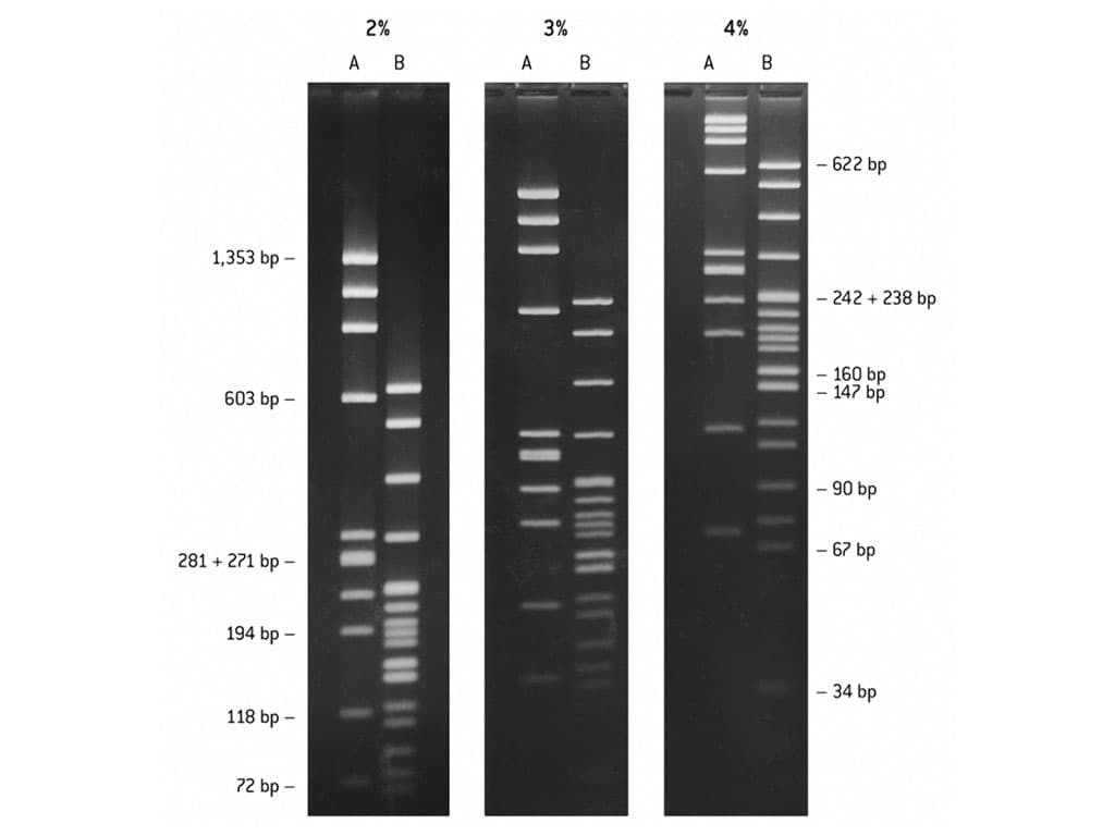Picture of NuSieve GTG Agarose 125g