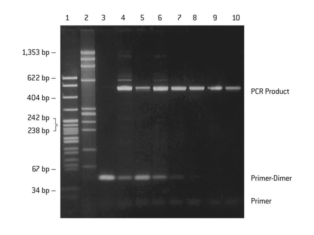 Picture of NuSieve 3:1 Agarose 125g