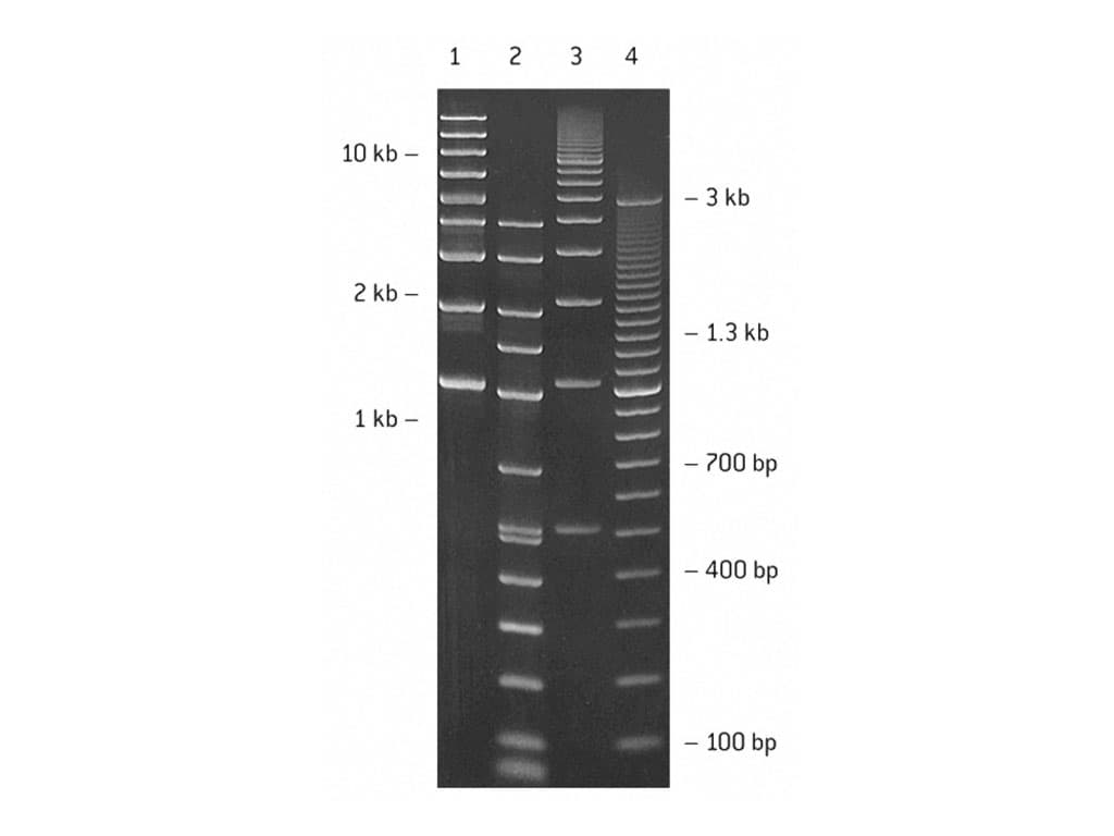 Picture of SeaPlaque Agarose 500g