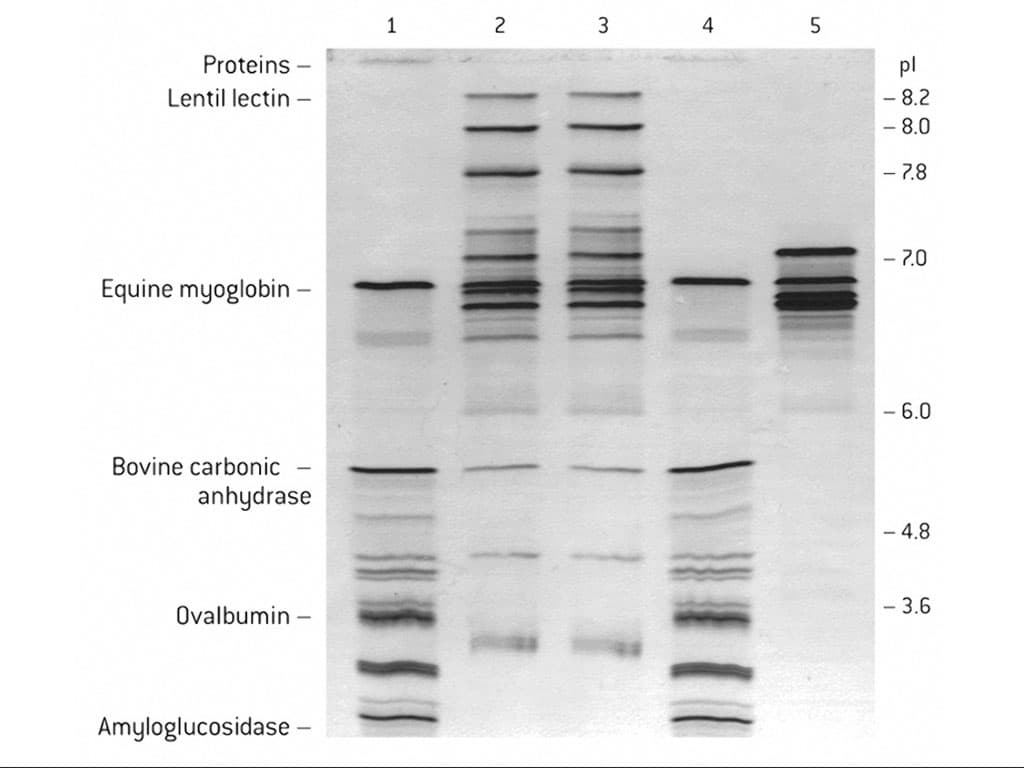 Picture of IsoGel Agarose 25g