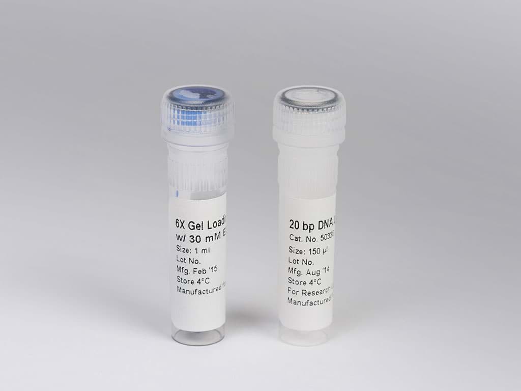 Picture of 100 bp DNA Ladder 100-1,000 bp 1each