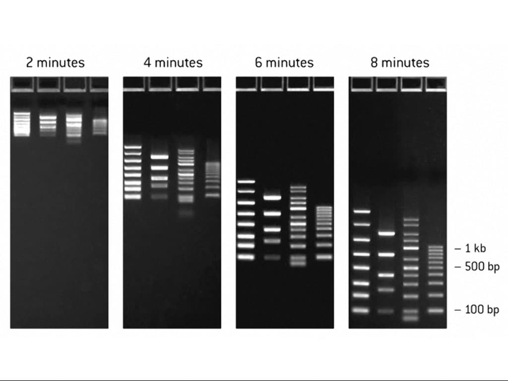 Picture of FlashGel DNA Starter Pack