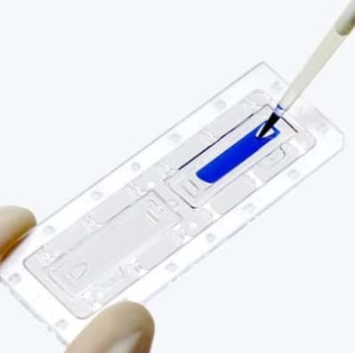 Cell Counting Slides | Westburg Life Sciences